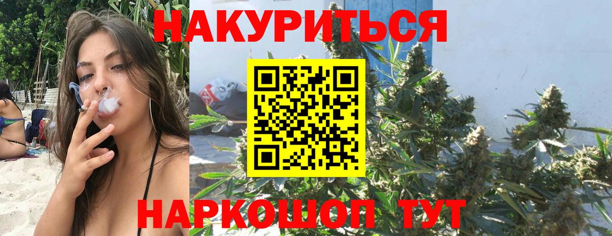 Бошки марихуана гибрид  Вход с VPN  Канабис планчик  Новошахтинск  Марихуана тримм 